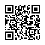 12061C823KAT2A QRCode