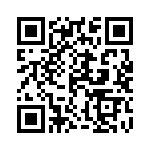 12065C393KHT1A QRCode