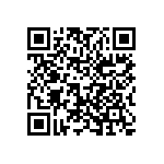 1206J0250824JDT QRCode