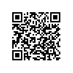 1206Y0250333KXR QRCode