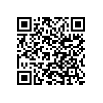 1206Y2K00391MXR QRCode