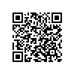 1210J1000273MXR QRCode