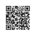 1210Y0250100KCR QRCode