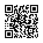 1302338 QRCode