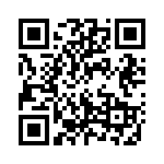 13102010 QRCode