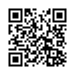 13161160 QRCode