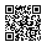 132127 QRCode