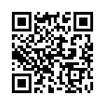 132134RP QRCode