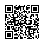 132171RP QRCode