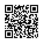 132176RP QRCode