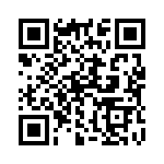 132191 QRCode