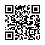 132203RP QRCode