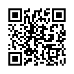 13391-1 QRCode