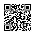 13AT401-T2 QRCode