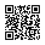 14310613101000 QRCode