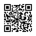 151053BS04500 QRCode