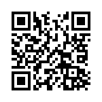 1619195 QRCode