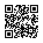 161A13069X QRCode