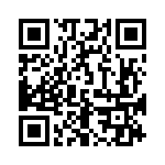 163A13079X QRCode