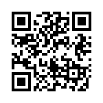 166717-4 QRCode