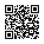 170030-1 QRCode