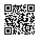 17011541604 QRCode