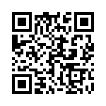 17021752203 QRCode