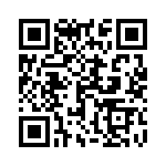 1703351207 QRCode