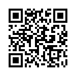 1703401038 QRCode