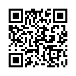 17063081203 QRCode