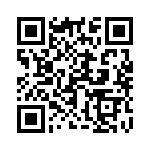 170787-1 QRCode