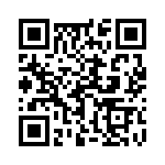 17111762205 QRCode