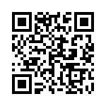 1713203022 QRCode