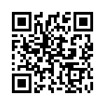 1713305 QRCode