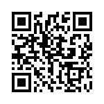 1713538 QRCode