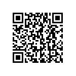 173-E09-213R141 QRCode