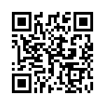 1745011-1 QRCode