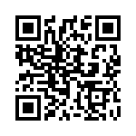 1762868 QRCode