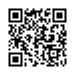 19041353 QRCode