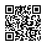 19300241291 QRCode