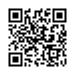 1N5333BRL QRCode