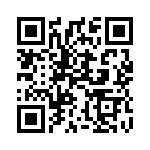 1N6295A QRCode