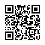 1PMT4101-TR13 QRCode