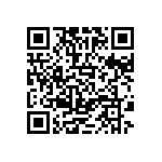 20020013-H131B01LF QRCode