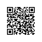 2225Y0250104MDT QRCode