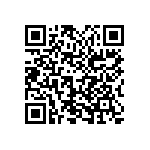 2225Y0250125MDT QRCode