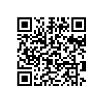 2225Y0500333JCR QRCode