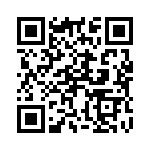 22J300 QRCode