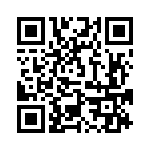 239-1-2717-3 QRCode