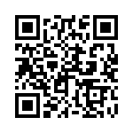 250R05L120KV4T QRCode